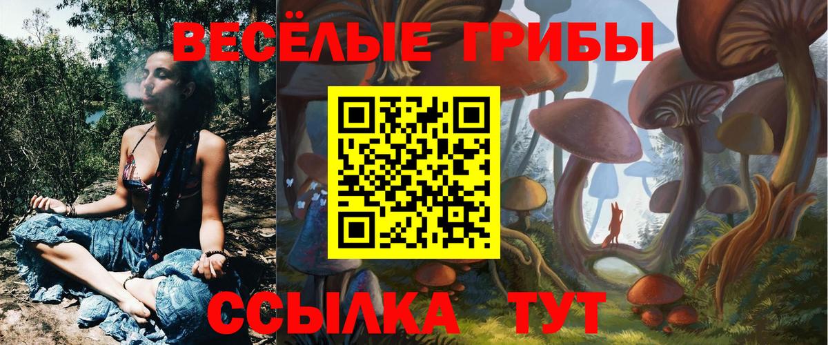 Псилоцибиновые грибы мухоморы Обнинск
