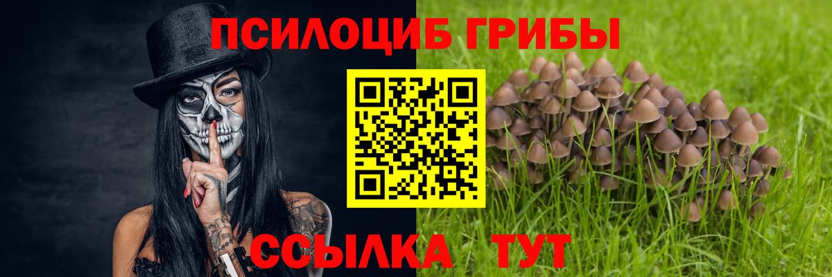Обнинск  где купить наркоту  Вход с VPN  Галлюциногенные грибы Cubensis 